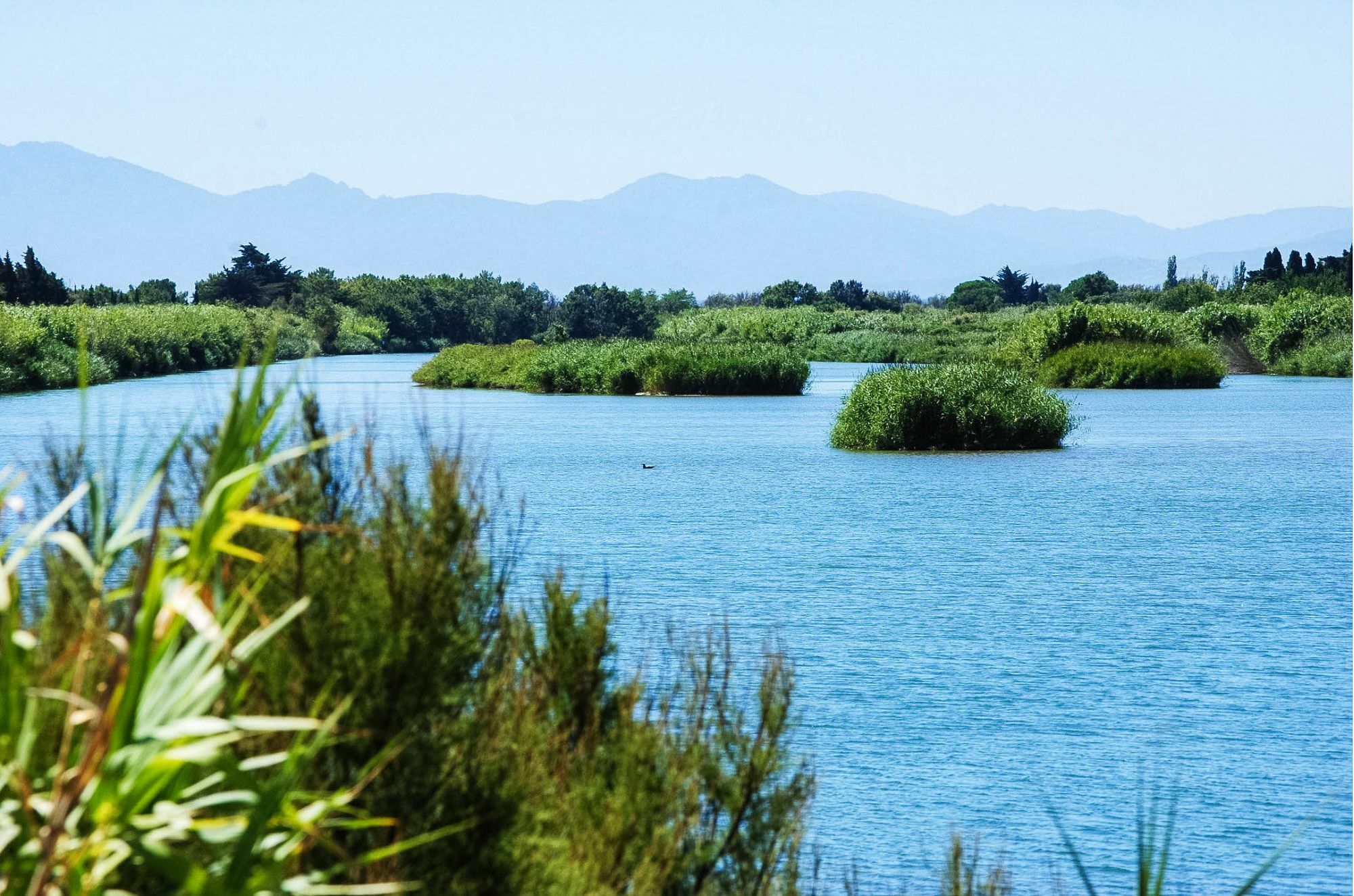 Ibis Styles Perpignan Canet En Roussillon Экстерьер фото